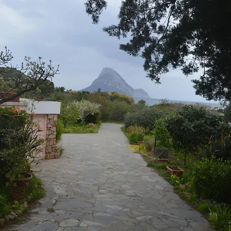 Appartement Delle Rose Porto Taverna