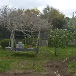 Delle Rose شقة *