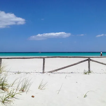 Delle Rose Apartment *