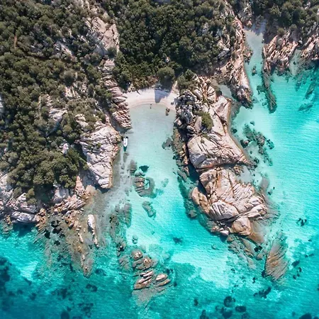 Delle Rose Apartment